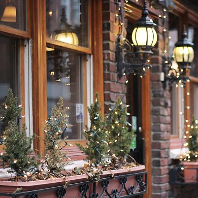 Northlight Seasonal 300 Clear Mini Christmas Lights