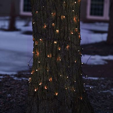 Northlight Seasonal Orange LED Mesh Net Christmas Lights