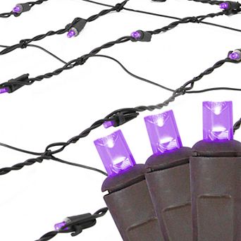 Northlight Seasonal Purple LED Mesh Net Christmas Lights