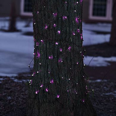 Northlight Seasonal Purple LED Mesh Net Christmas Lights