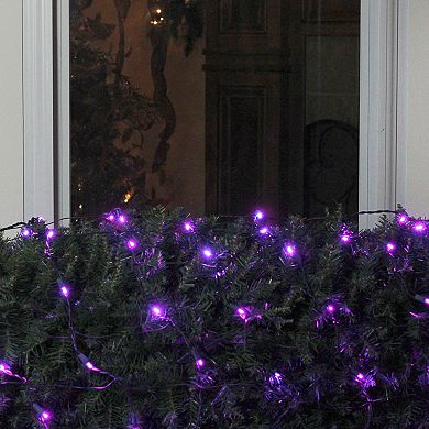 Northlight Seasonal Purple LED Mesh Net Christmas Lights