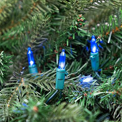 Northlight Seasonal 100 Blue LED Mini Christmas Lights