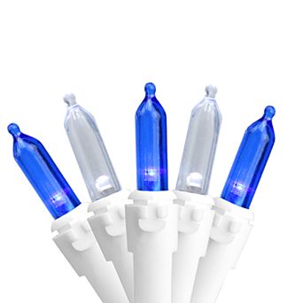 Northlight Seasonal 100 Blue & White LED White Wire Mini Christmas Lights