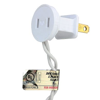 Northlight Seasonal 100 Blue & White LED White Wire Mini Christmas Lights