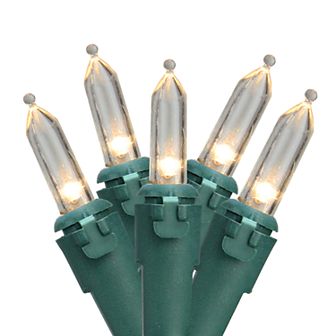Northlight Seasonal 100 Clear LED Green Wire Mini Christmas Lights