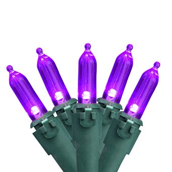 Northlight Seasonal 100 Purple LED Green Wire Mini Christmas Lights