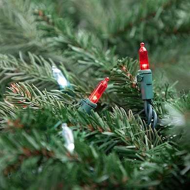 Northlight Seasonal 100 Red & Clear LED Green Wire Mini Christmas Lights