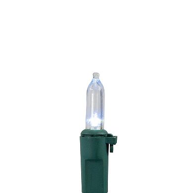Northlight Seasonal 100 Red & Clear LED Green Wire Mini Christmas Lights