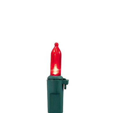 Northlight Seasonal 100 Red & Clear LED Green Wire Mini Christmas Lights