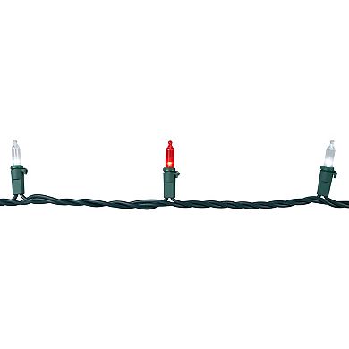 Northlight Seasonal 100 Red & Clear LED Green Wire Mini Christmas Lights