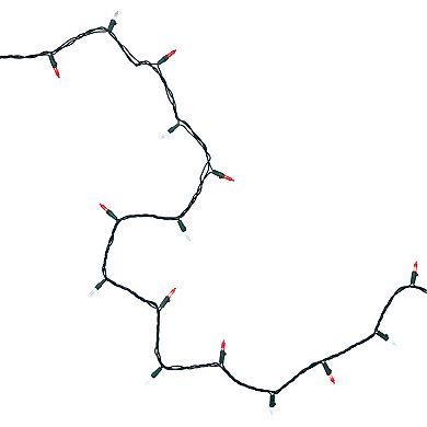Northlight Seasonal 100 Red & Clear LED Green Wire Mini Christmas Lights