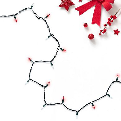 Northlight Seasonal 100 Red & Clear LED Green Wire Mini Christmas Lights