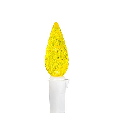 Northlight Seasonal 70 Multi-Colored Faceted LED C6 Christmas Lights