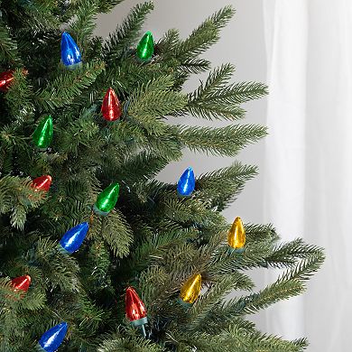 Northlight Seasonal 25 Multi-Color LED C7 Christmas Lights