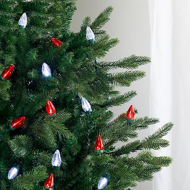 Northlight Seasonal 25 Red & White LED C7 Christmas Lights