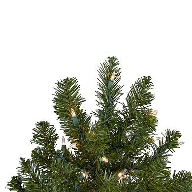 Northlight Seasonal 3-ft. Pre-Lit Canadian Pine Artificial Christmas Tree