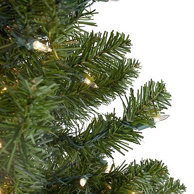 Northlight Seasonal 3-ft. Pre-Lit Canadian Pine Artificial Christmas Tree