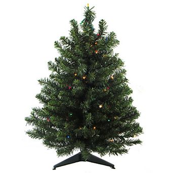 Northlight Seasonal 3-ft. Pre-Lit Two-Tone Canadian Pine Artificial Christmas Tree