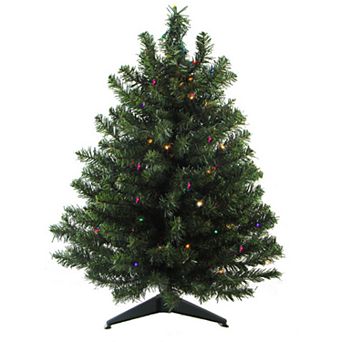 Northlight Seasonal 2-ft. Pre-Lit LED Two-Tone Canadian Pine Artificial Christmas Tree