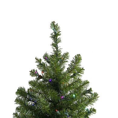 Northlight Seasonal 2-ft. Pre-Lit LED Two-Tone Canadian Pine Artificial Christmas Tree
