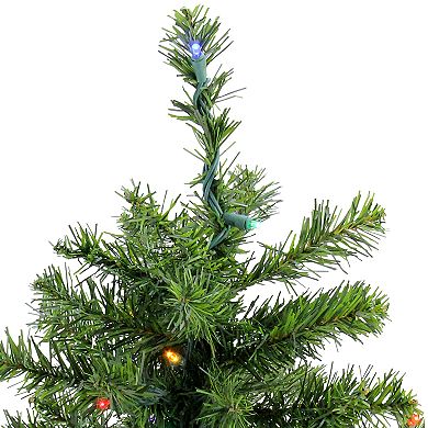 Northlight Seasonal 2-ft. Pre-Lit LED Two-Tone Canadian Pine Artificial Christmas Tree