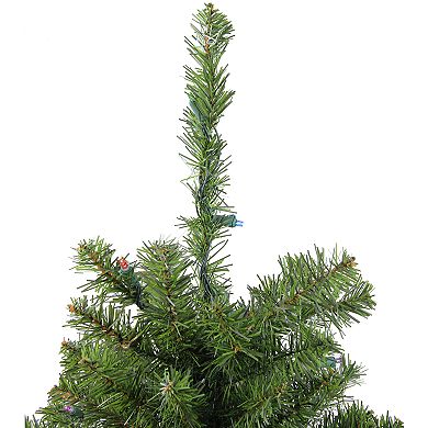 Northlight Seasonal 3-ft. Pre-Lit Multi-Colored LED Canadian Pine Artificial Christmas Tree