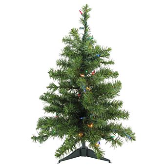 Northlight Seasonal 2-ft. Pre-Lit Two-Tone Canadian Pine Artificial Christmas Tree