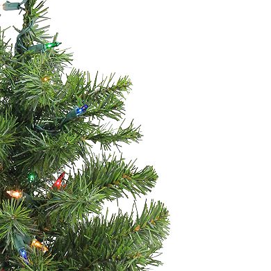 Northlight Seasonal 2-ft. Pre-Lit Two-Tone Canadian Pine Artificial Christmas Tree