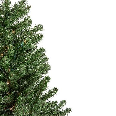 Northlight Seasonal 3-ft. Pre-Lit LED Canadian Pine Artificial Christmas Tree