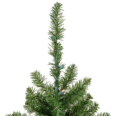 Northlight Seasonal 3-ft. Pre-Lit LED Canadian Pine Artificial Christmas Tree