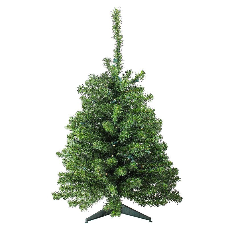 Northlight Seasonal 3-ft. Pre-Lit Clear LED Canadian Pine Artificial Christ