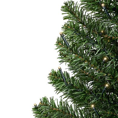 Northlight Seasonal 3-ft. Pre-Lit Clear LED Canadian Pine Artificial Christmas Tree