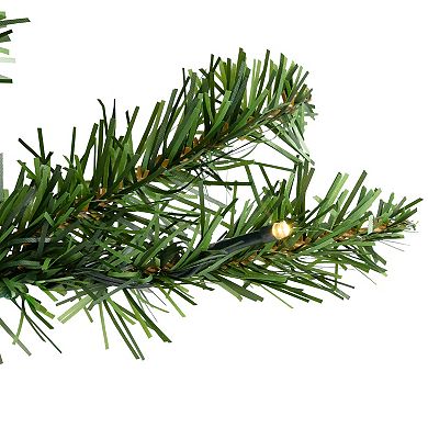 Northlight Seasonal 3-ft. Pre-Lit Clear LED Canadian Pine Artificial Christmas Tree