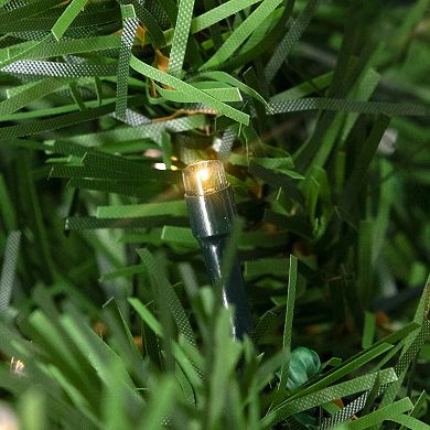 Northlight Seasonal 3-ft. Pre-Lit Clear LED Canadian Pine Artificial Christmas Tree