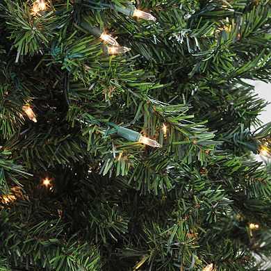 Northlight Seasonal 5-ft. Pre-Lit Clear Canadian Pine Artificial Christmas Tree