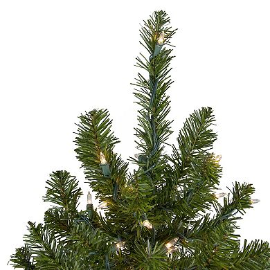 Northlight Seasonal 6-ft. Pre-Lit Clear Canadian Pine Artificial Christmas Tree