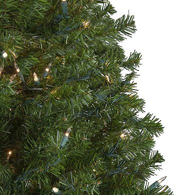 Northlight Seasonal 6-ft. Pre-Lit Clear Canadian Pine Artificial Christmas Tree