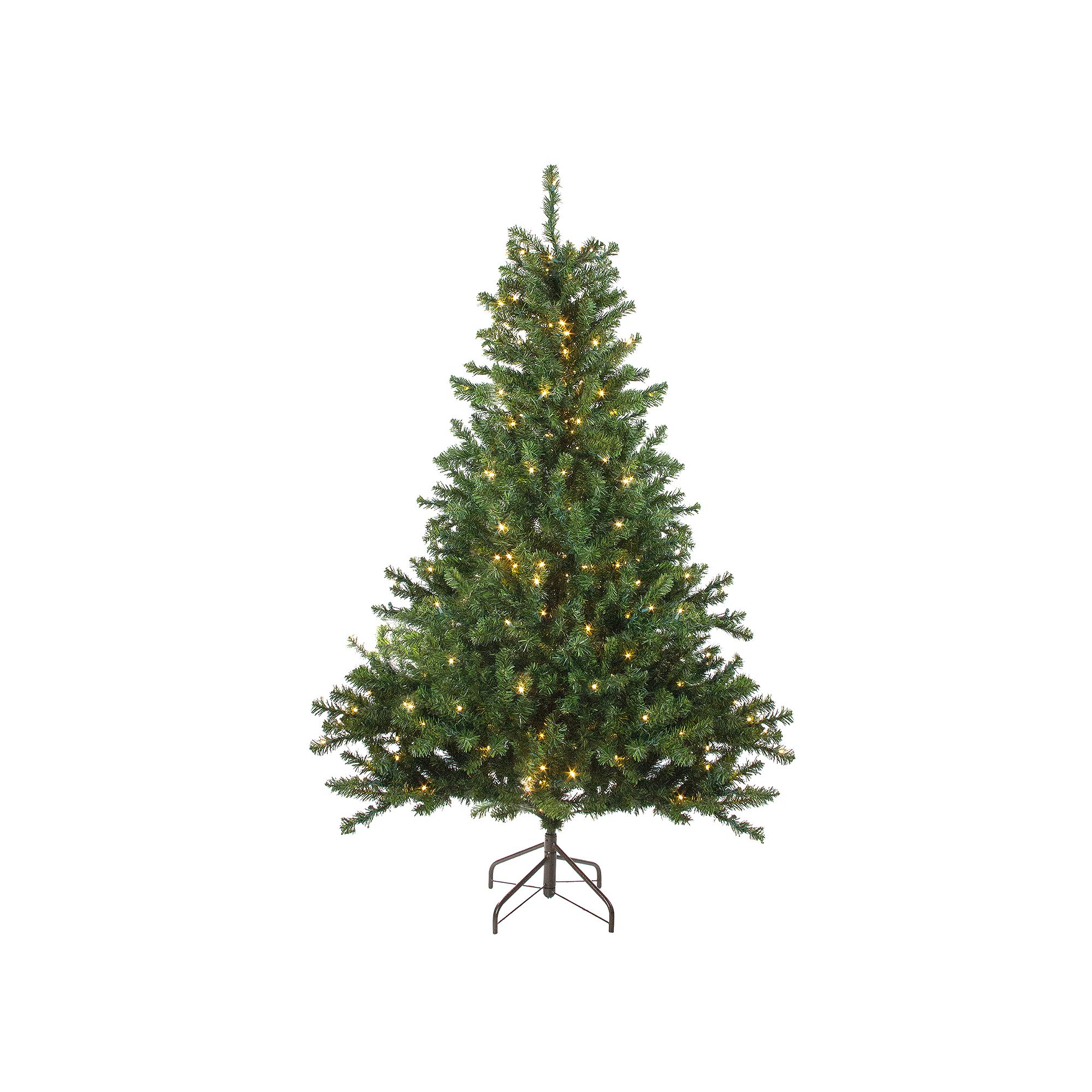 Northlight Seasonal 6-ft. Pre-Lit Clear LED Canadian Pine Artificial Christ
