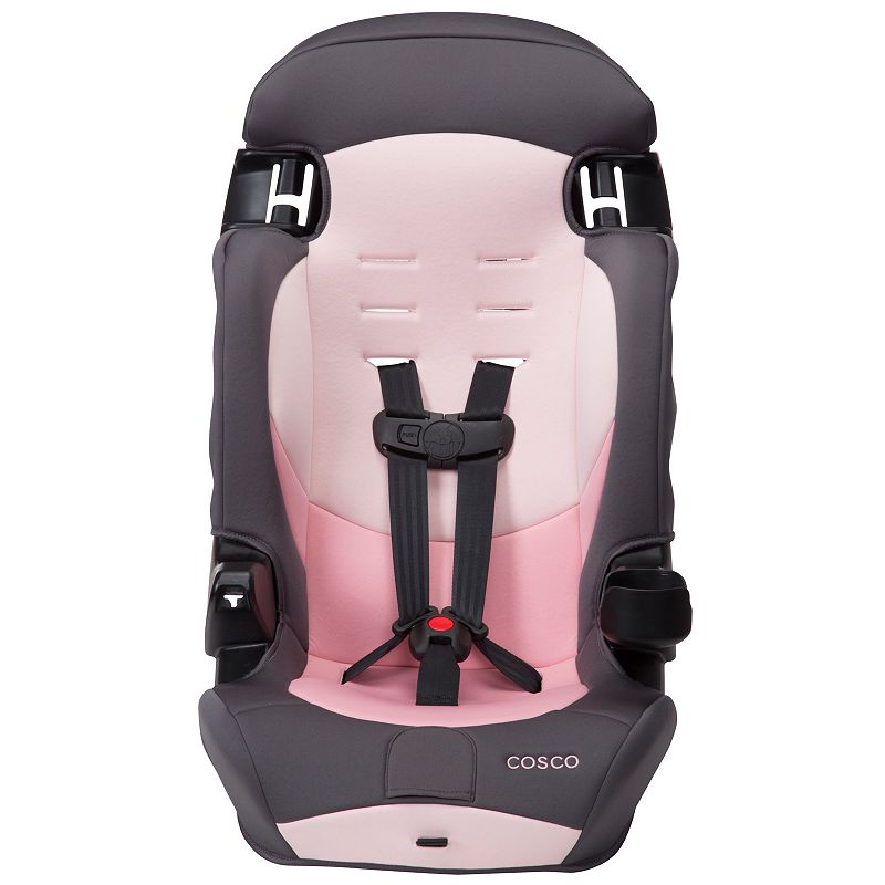 Cosco Finale Dx 2-in-1 Booster Car Seat, Sweetberry