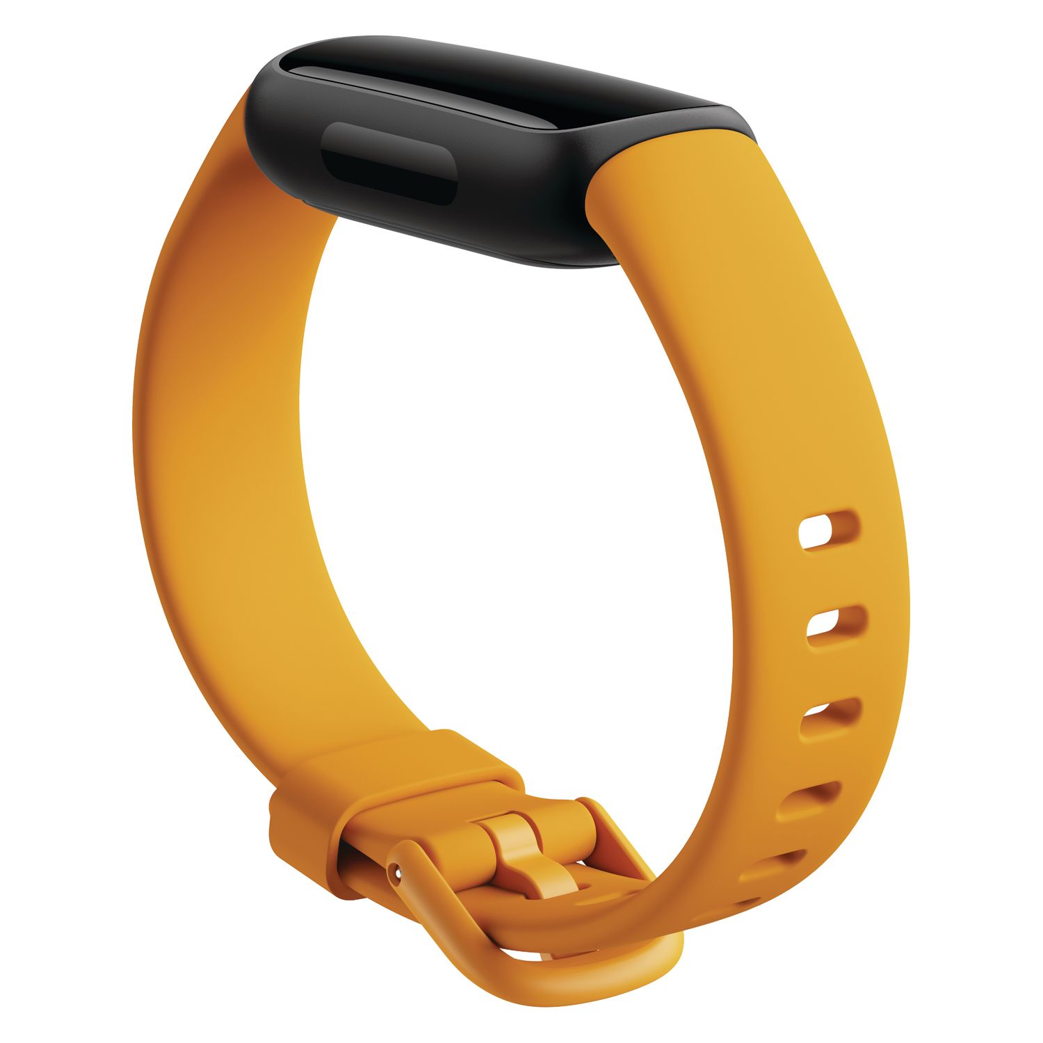 Fitbit Inspire Clips