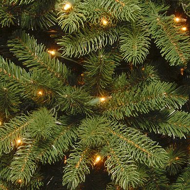 National Tree Company 4.5 ft. Newberry® Spruce Tree with Dual Color® LED Lights