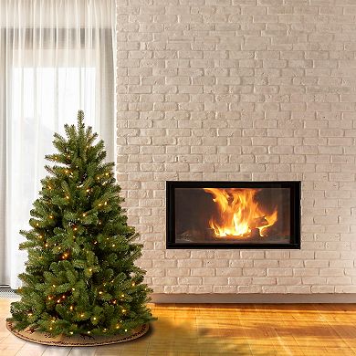 National Tree Company 5 ft. Newberry® Spruce Tree with Clear Lights