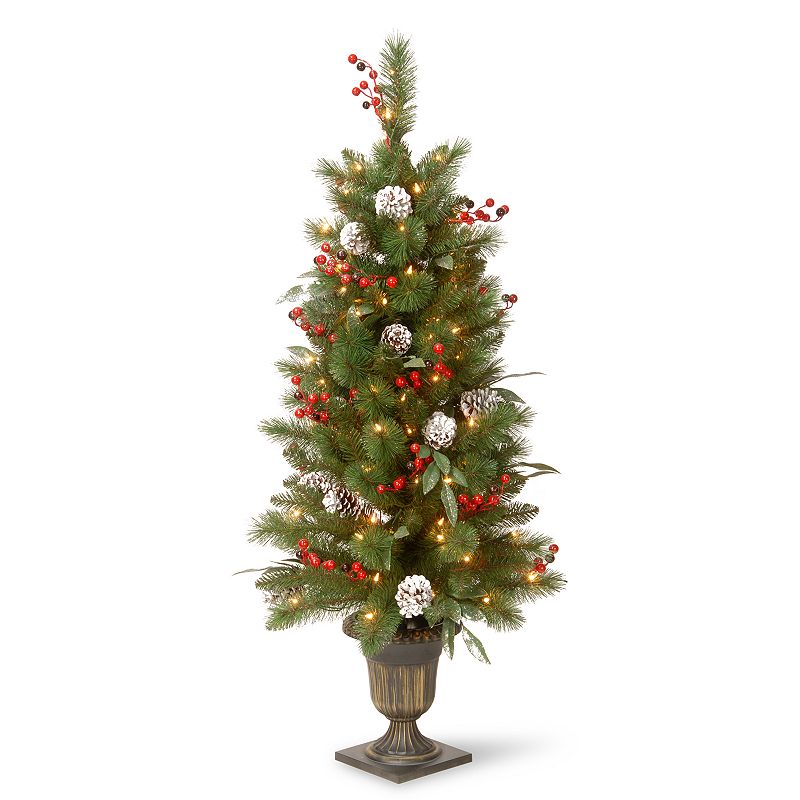 National Tree Company 48-in. Pre-Lit Entryway Frosted Pine Artificial Chris