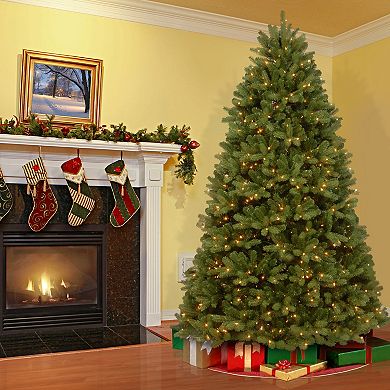 National Tree Company 6 ft. Newberry® Spruce Tree with Dual Color® LED Lights