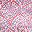 Coral Blue Fresh Tile