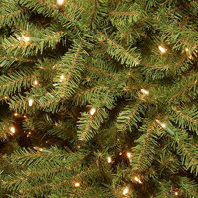 National Tree Company 10-ft. Pre-Lit Dunhill Fir Slim Artificial Christmas Tree