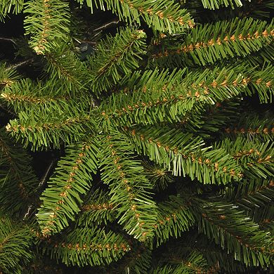 National Tree Company 14' Kingswood Fir Pencil Tree