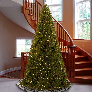 National Tree Company 16' North Valley Spruce Tree with 2000 Clear Lights