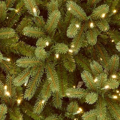 National Tree Company 6.5 ft. Jersey Fraser Fir Medium Tree with Dual Color® LED Lights