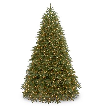 National Tree Company 10-ft. LED Fraser Fir Artificial Christmas Tree